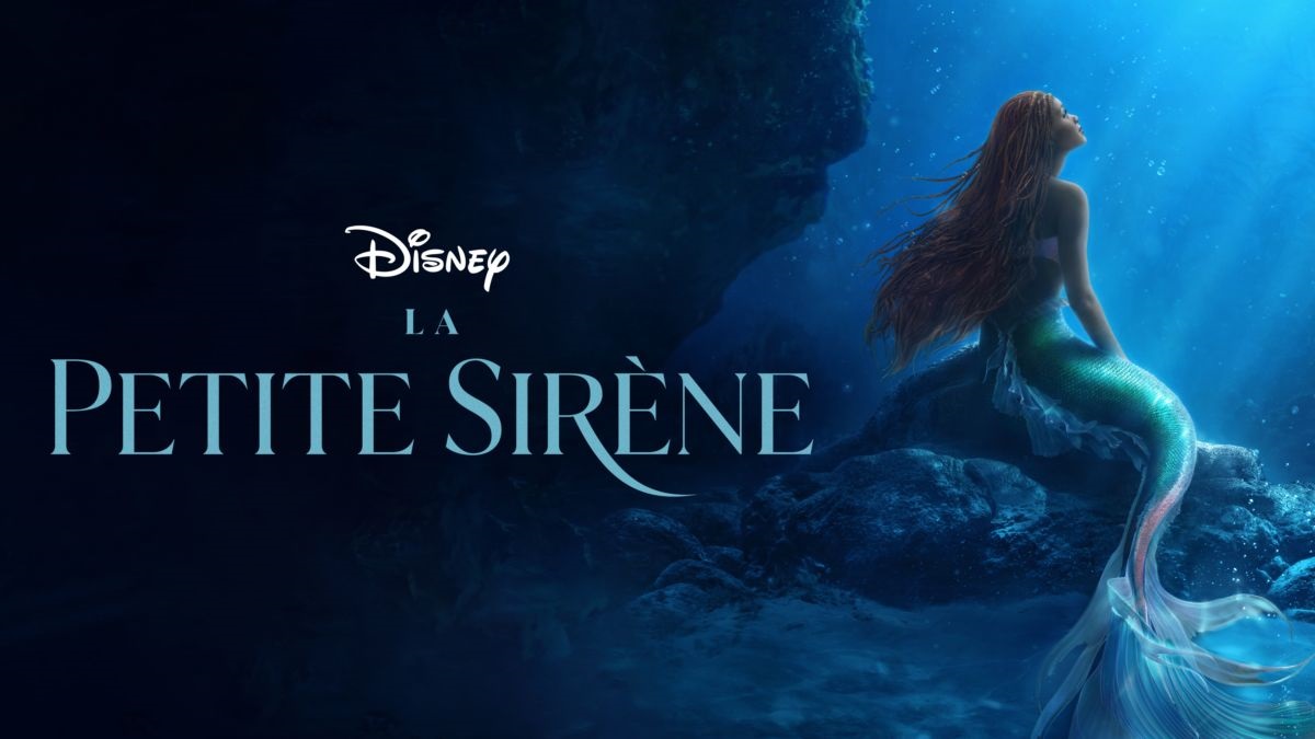 Polochon dans La petite Sirène pour ses jolies couleurs !  The little  mermaid, Disney little mermaids, Disney princes